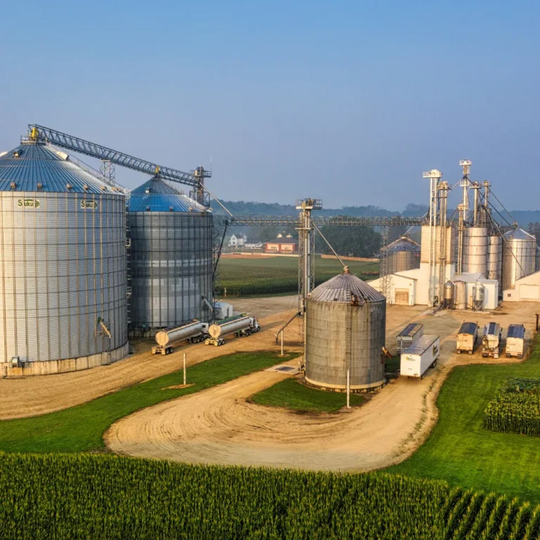 Tile adhesive manufacturers in India producing quality tile adhesive products