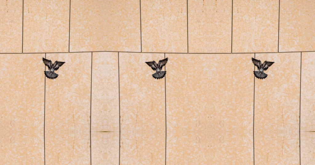 epoxy grout vs cement grout comparison