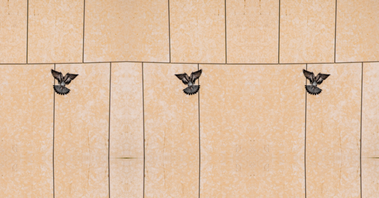 epoxy grout vs cement grout comparison