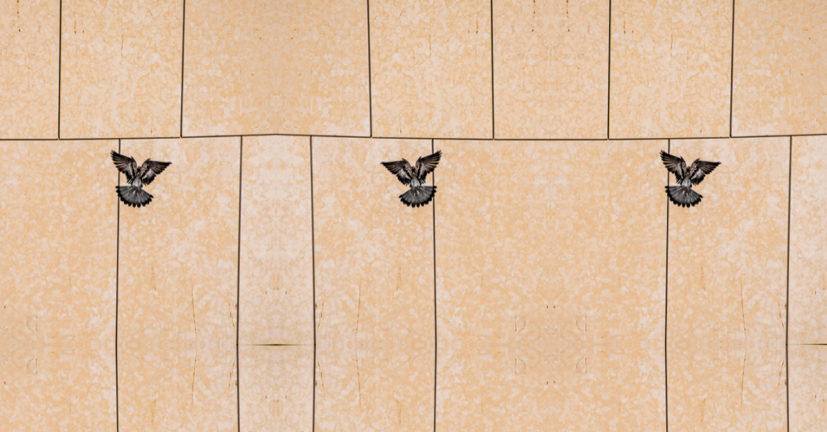 epoxy grout vs cement grout comparison